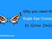 Eagle Concept: Everything Need Know About Rule