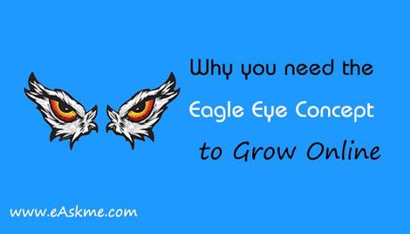 Eagle Eye Concept: Everything You Need to Know About Eagle Eye Rule