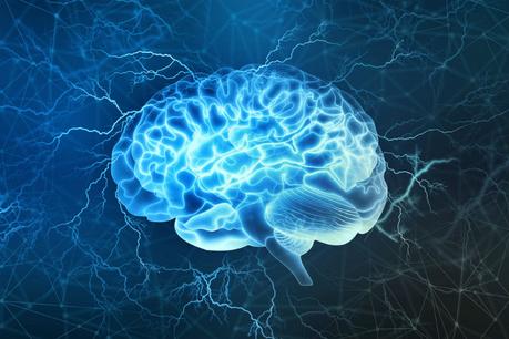 5 Ways a Ketogenic Diet Improves Brain Function