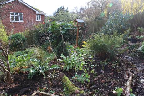 Developing the woodland borders
