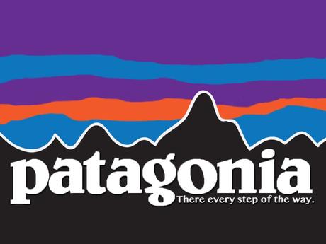 Patagonia Donates $10 Million Tax Cut to Environmental Groups