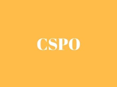 Why CSPO Certification Is Important For Your Career