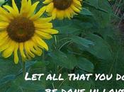 John MacArthur Isn't Dispensationalist, YOU'RE Dispensationalist! Reaction Shapiro/MacArthur Interview