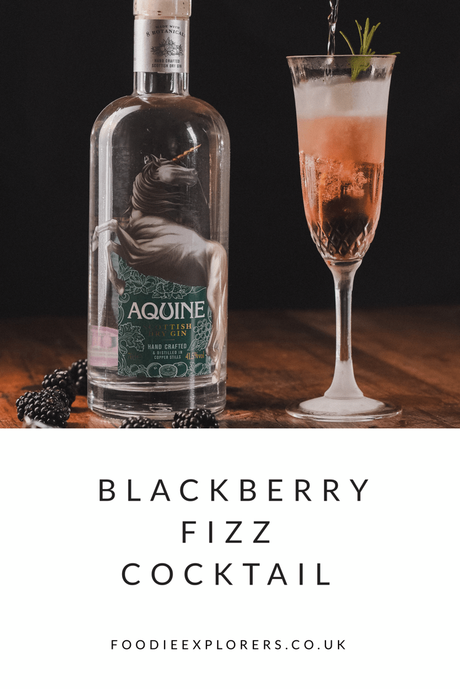 Recipe: Blackberry Fizz Cocktail
