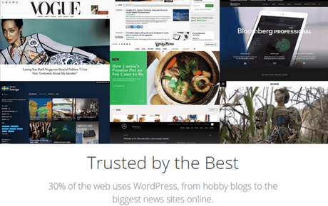 WordPress Blogging Platform