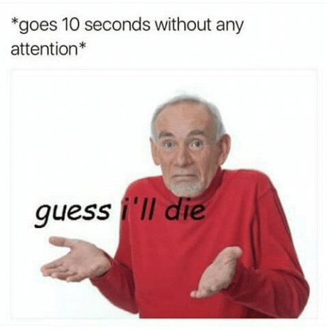 goes 10 seconds without any attention, Guess i will die