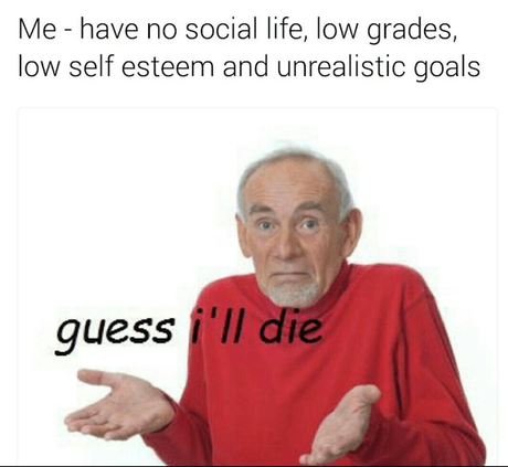 Me - have no social life, low grades, low self esteem and unrealistic goals, Guess I'll die