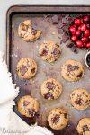 These Cranberry Pecan Chocolate Chip Cookies are gooey in the middle with perfectly crispy edges. Think: your favorite chocolate chip cookie, dressed up with dried cranberries and toasty pecans. I recommend devouring one of these gluten-free, paleo, and vegan cookies warm from the oven.