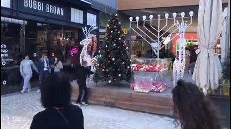 Christmas trees on display in Israel