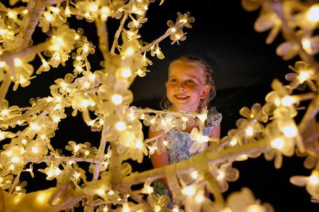Win A Family Pass to the Christmas Lights Spectacular