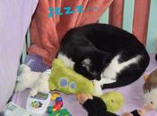 Undeniable Unfairness Life