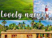 Tourist Places Visit Munnar Honeymoon