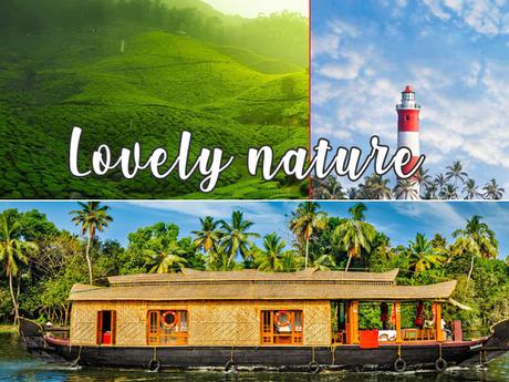 Tourist Places to Visit in Munnar On A Honeymoon