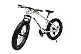STURDY BIKES Mountain Carbon Steel Fat Bike with 26X4 inch Tyres (White)