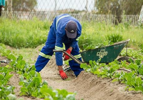 Lawn & Garden Drainage Lawn & Garden Drainage Guide