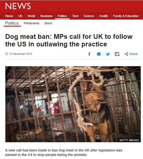 Dog meat ban: MPs call for UK to follow the US in outlawing the practice