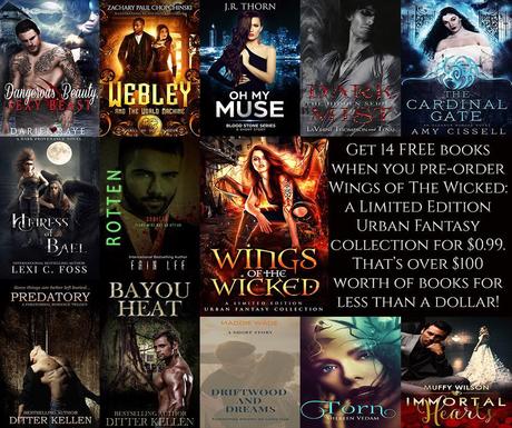 Wings of the Wicked Anthology