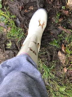 Product Review - Ryedale ladies Wistow Wellington Boots
