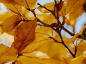 Moving Relationships After Domestic Abuse