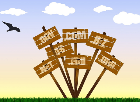 What are the Steps to Starting an E-commerce Business? What are the Steps to Starting an E-commerce Business?