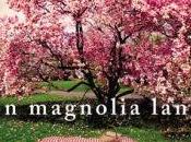 Magnolia Lane (Blue Ridge Denise Hunter