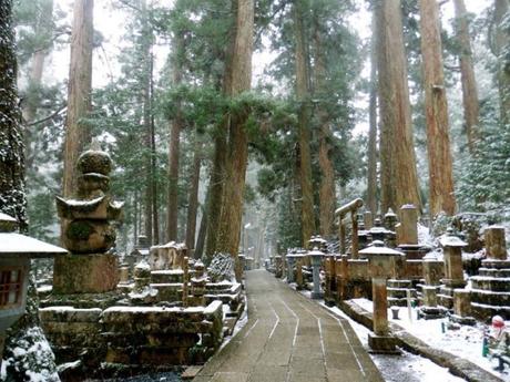 Mount Koya