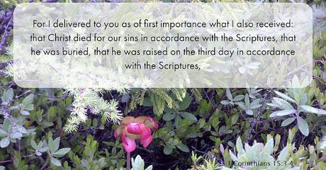 Thirty Days of Jesus Redux: Day 28, Resurrection of central importance Thirty Days of Jesus Redux: Day 28, Resurrection of central importance