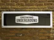 Growing Underground Clapham Common