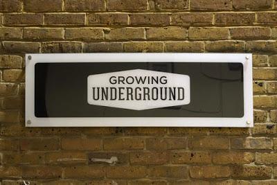 Growing Underground in Clapham Common
