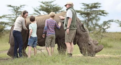 Rhino Conservation at Ol Pejeta