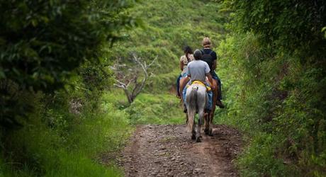 Horse riding in Monteverde Cloud Forests