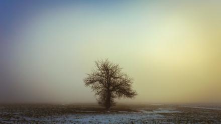 Pondering Connection at the Gate of 2019