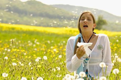 How to Get Rid of Allergic Rhinitis in Ayurveda?