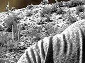 Unearthed: Curse Nephthys (2018)