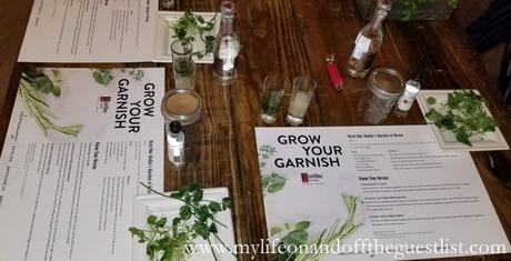 Grow Your Garnish: Adding a Decorative Touch to Ketel One Cocktails