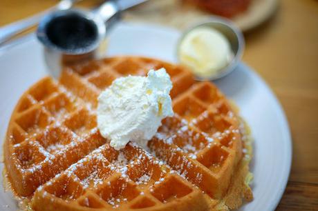 Summer House Tanvii.com 6