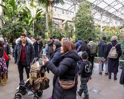 You see it everywhere: Who's flicking whom? [Longwood Gardens, outside Philly]