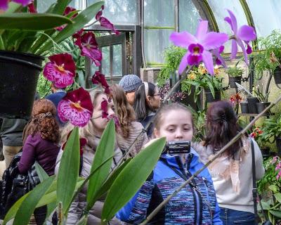 You see it everywhere: Who's flicking whom? [Longwood Gardens, outside Philly]
