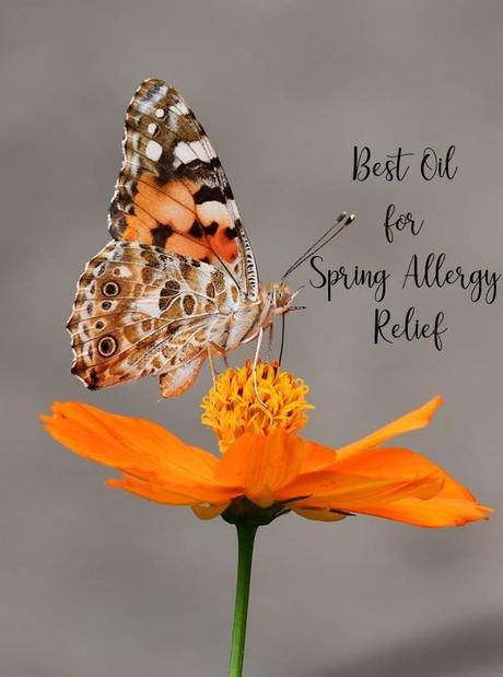 Best Oil for Spring Allergy Relief