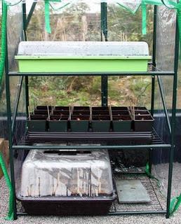 Keeping frost off seedlings