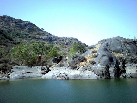 Top 5 Wildlife Parks of Rajasthan Tourism