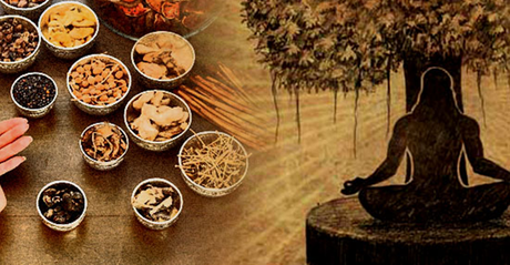 10 Wonderful Health Benefits of Ayurvedic Herbs for Healthy Lifestyle