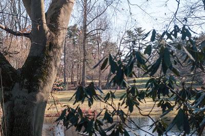 Lest you think Longwood Gardesn is all pretty flowers...