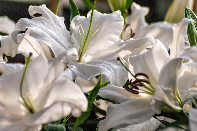 What would a new year be without flowers?