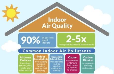 How can I purify air in my home naturally?