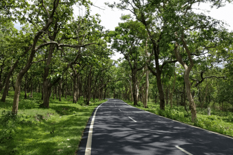 Discover the Wildlife of Karnataka on These Exciting Road Trips
