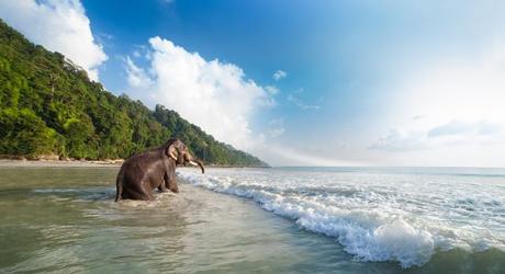 Radhanagar Beach at the Andamans, India