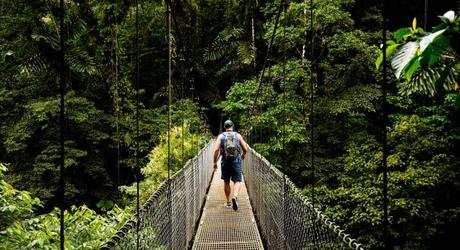 Canopy Walk in Monteverde Cloud Forest