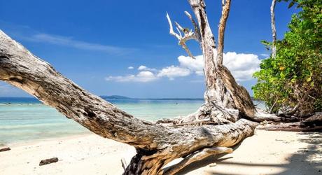 Havelock Island at the Andamans in India