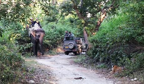 corbett tour